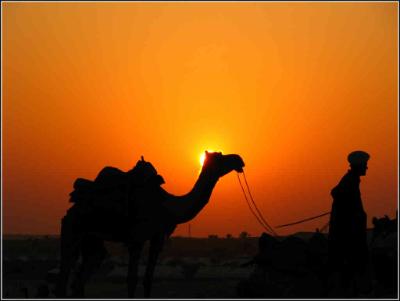 Jaisalmer holiday packages